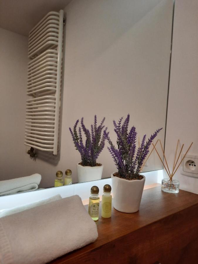 Exclusive Art Apartment Krakau